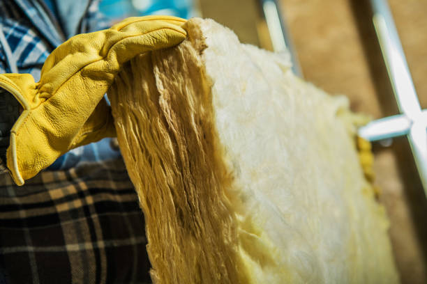 Professional Insulation Contractor in Wyoming, MN